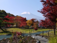富士山の画像素材（無料）103
