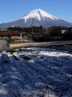 富士山の画像素材（無料）98
