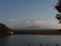 精進湖の富士山のサムネイル写真10