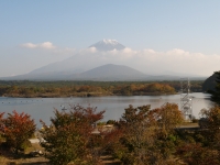 精進湖の富士山のサムネイル写真29