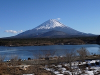 精進湖の富士山のサムネイル写真30