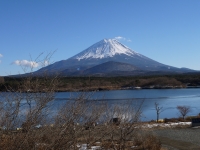 精進湖の富士山のサムネイル写真28
