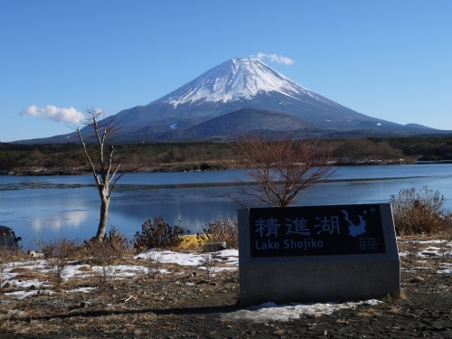 精進湖の富士山の写真31