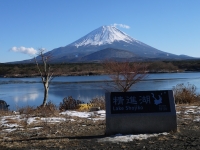 精進湖の富士山のサムネイル写真31