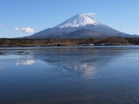 精進湖の富士山のサムネイル写真15
