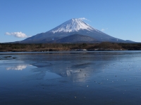 精進湖の富士山のサムネイル写真13