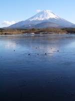 精進湖の富士山のサムネイル写真8