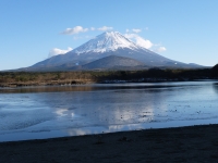 精進湖の富士山のサムネイル写真19