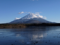 精進湖の富士山のサムネイル写真14