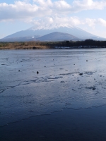 精進湖の富士山のサムネイル写真7