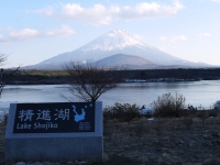 精進湖の富士山のサムネイル写真21