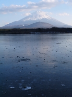 精進湖の富士山のサムネイル写真3