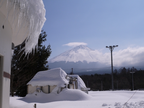 道の駅 なるさわの富士山の写真3
