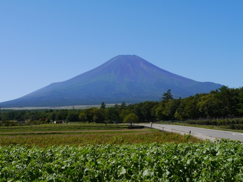 花の都公園の富士山の写真17