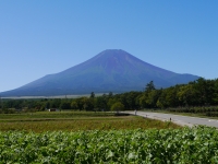 花の都公園の富士山のサムネイル写真17