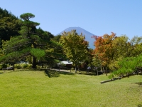 花の都公園の富士山のサムネイル写真20