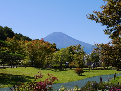 花の都公園の富士山の写真16
