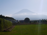 花の都公園の富士山のサムネイル写真4