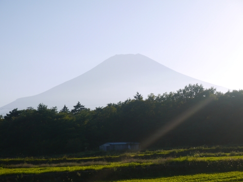 花の都公園の富士山の写真1