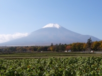 花の都公園の富士山のサムネイル写真10
