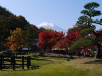 花の都公園の富士山のサムネイル写真15