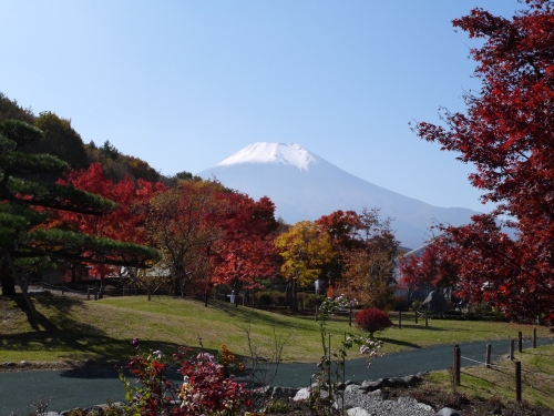 花の都公園の富士山の写真14