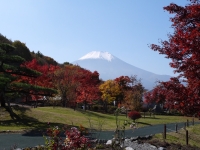 花の都公園の富士山のサムネイル写真14