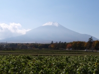 花の都公園の富士山のサムネイル写真6