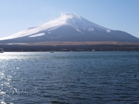 山中湖親水公園の富士山のサムネイル写真5
