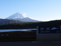 西湖の富士山のサムネイル写真1