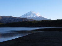 西湖の富士山のサムネイル写真4