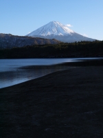 西湖の富士山のサムネイル写真3