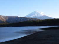 西湖の富士山のサムネイル写真5