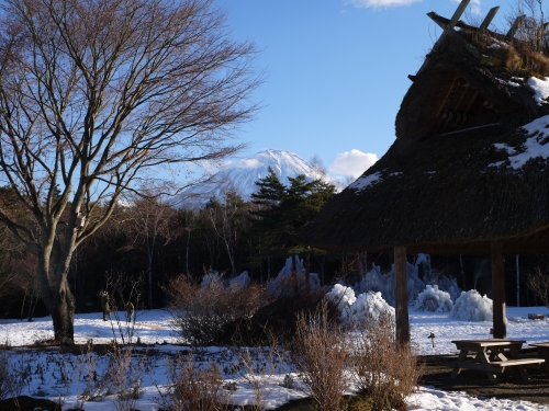 西湖 野鳥の森公園の富士山の写真1
