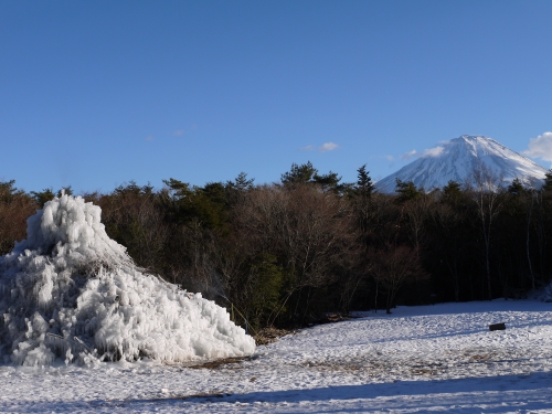西湖 野鳥の森公園の富士山の写真2