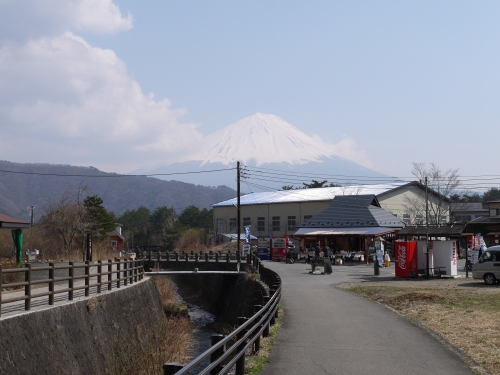 西湖 いやしの里・根場の富士山の写真2