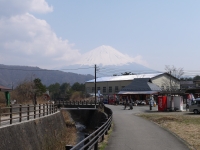 西湖 いやしの里・根場の富士山のサムネイル写真2