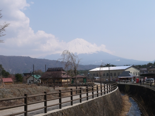 西湖 いやしの里・根場の富士山の写真1