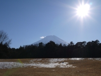 富士パインズパークの富士山のサムネイル写真3