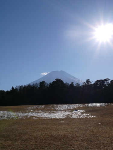 富士パインズパークの富士山の写真2