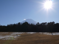 富士パインズパークの富士山のサムネイル写真4