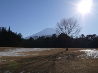 富士パインズパークの富士山のサムネイル写真7