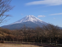 富士ケ嶺公園の富士山のサムネイル写真11