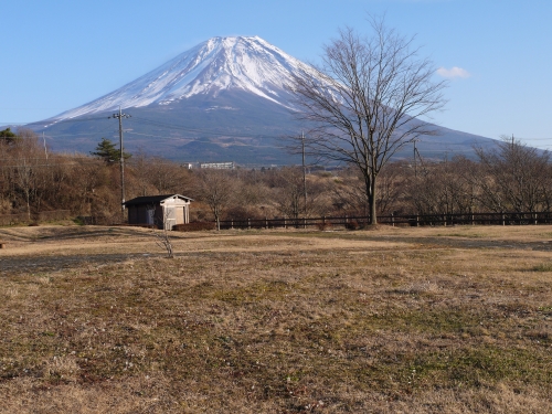富士ケ嶺公園の富士山の写真12