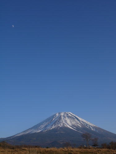 富士ケ嶺公園の富士山の写真1