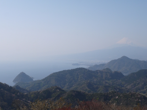 伊豆の国　パノラマパークの富士山の写真3