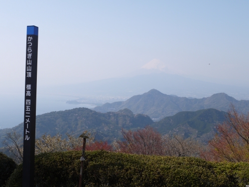 伊豆の国　パノラマパークの富士山の写真9