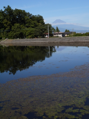 城池親水公園の富士山の写真2