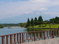 田貫湖の富士山のサムネイル写真22