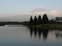 田貫湖の富士山のサムネイル写真12
